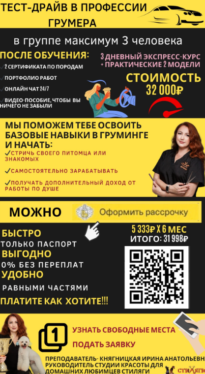 ТЕСТ-Драйв в груминге! экспресс-курсы! КТО ТАКОЙ ГРУМЕР ЖИВОТНЫХ?