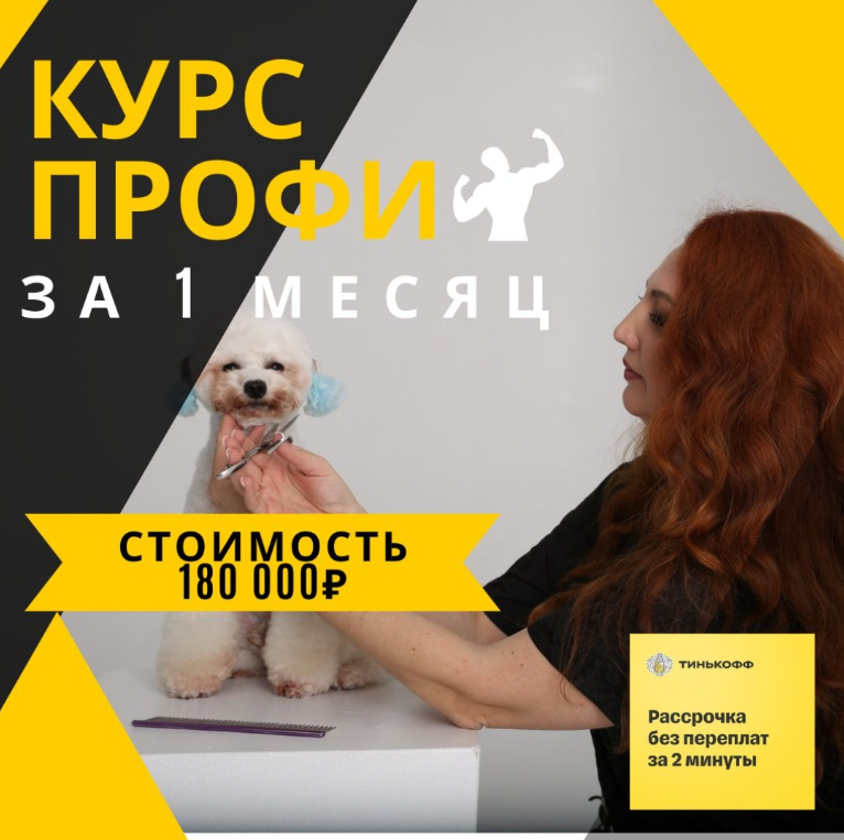 Курс груминга с нуля ПРОФИ за 1 месяц!