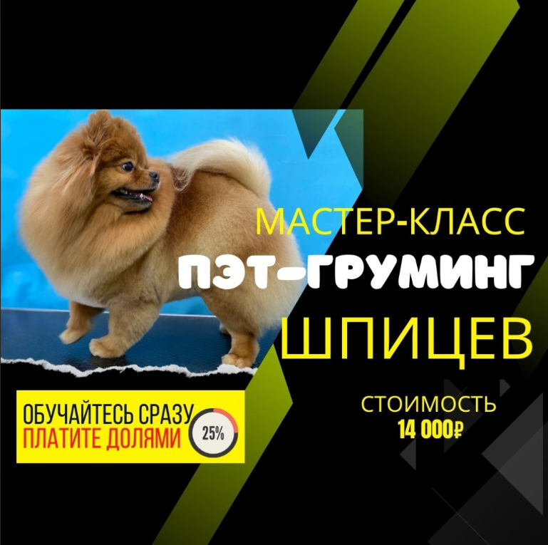 Индивидуальный Мастер-класс «ПЭТ-ГРУМИНГ ШПИЦЕВ», оплата долями 3500р.
