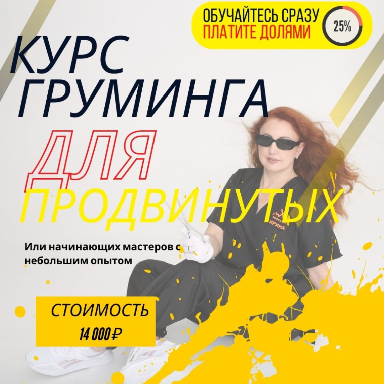 «Курс груминга для продвинутых»!